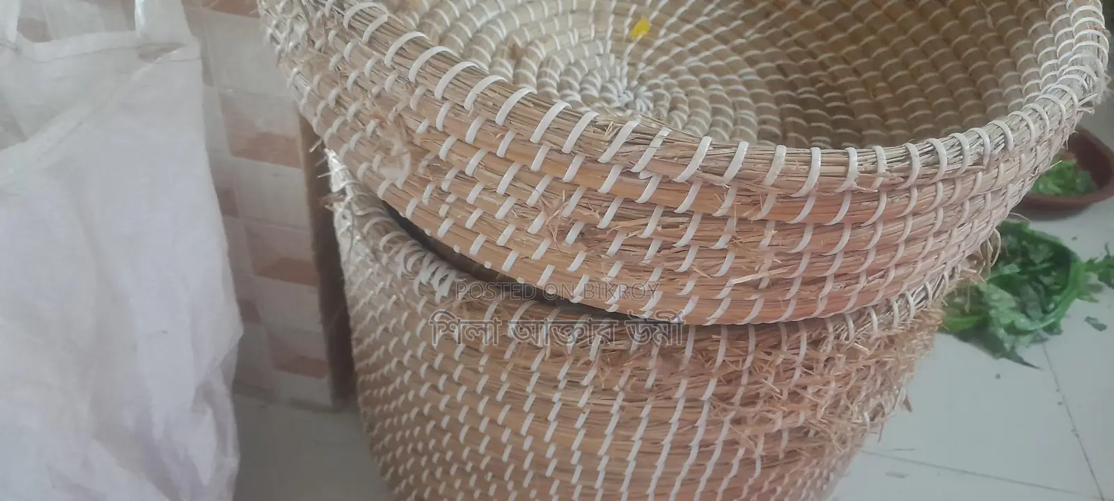 বিড়ালের ঘর