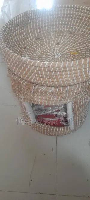 বিড়ালের ঘর