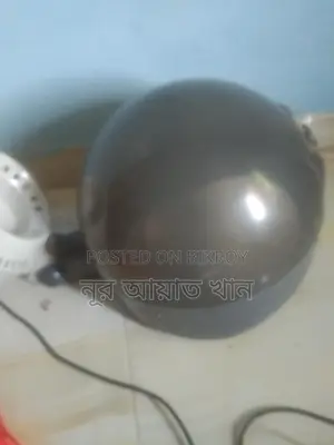 Hair Steamer