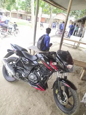 Bajaj Pulsar 150 Used 2019