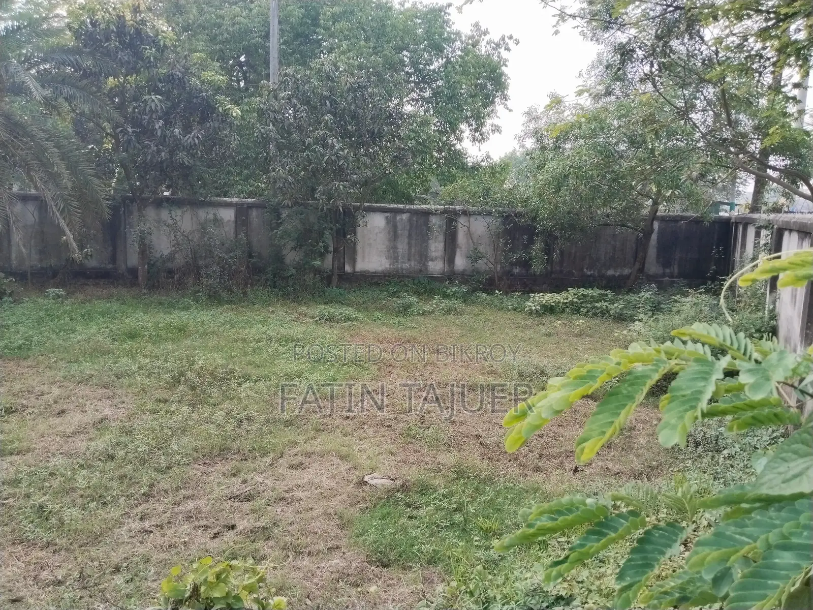 Land for Rent
