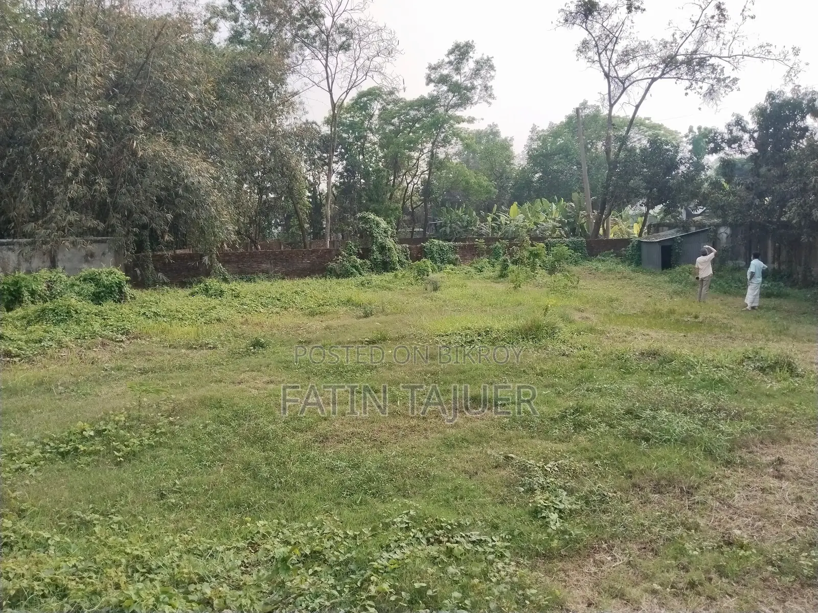 Land for Rent