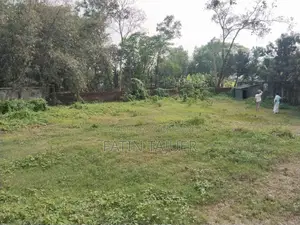 Land for Rent