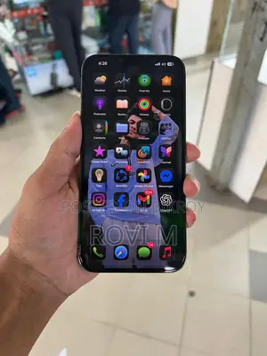 Apple iPhone 13 Pro Max (Used)