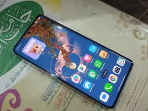 Xiaomi Redmi Note 13 Pro Plus (Used)