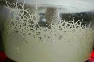 Microwarm Cultue
