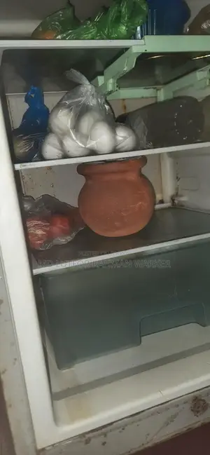 Golden Star 17cft Running Fridge