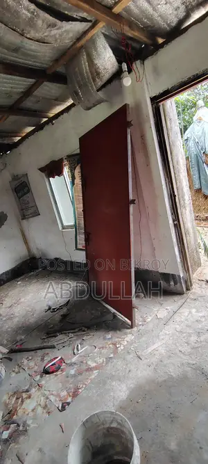 New steel door, Raghunathpur, Hajiganj