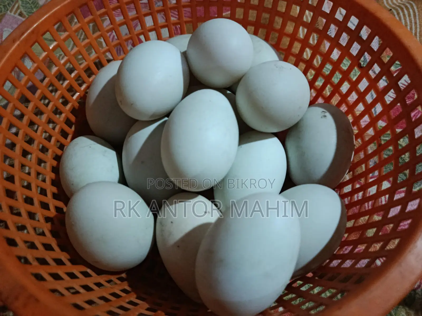 Duck Hatching Eggs