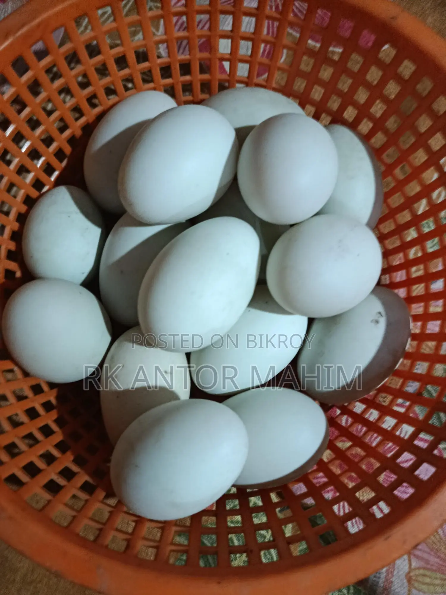 Duck Hatching Eggs