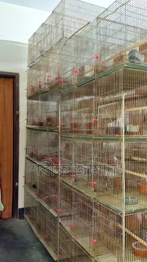 খামারের সব খাঁচা বিক্রি করা হবে
