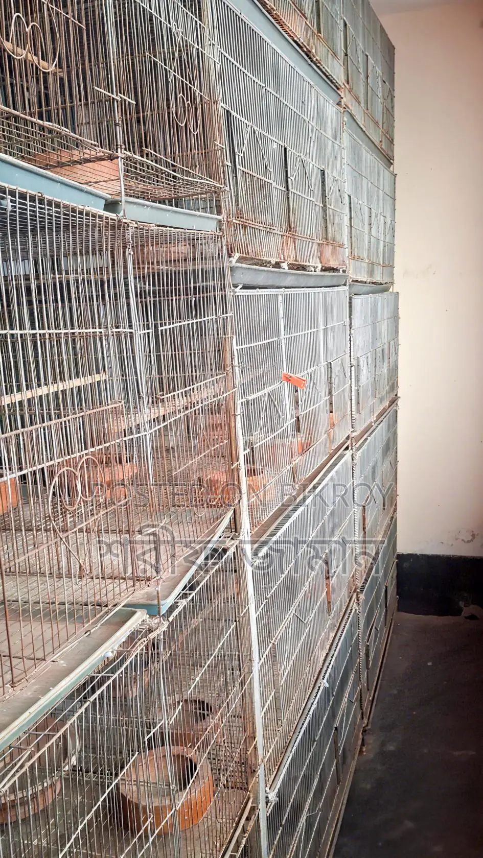 খামারের সব খাঁচা বিক্রি করা হবে