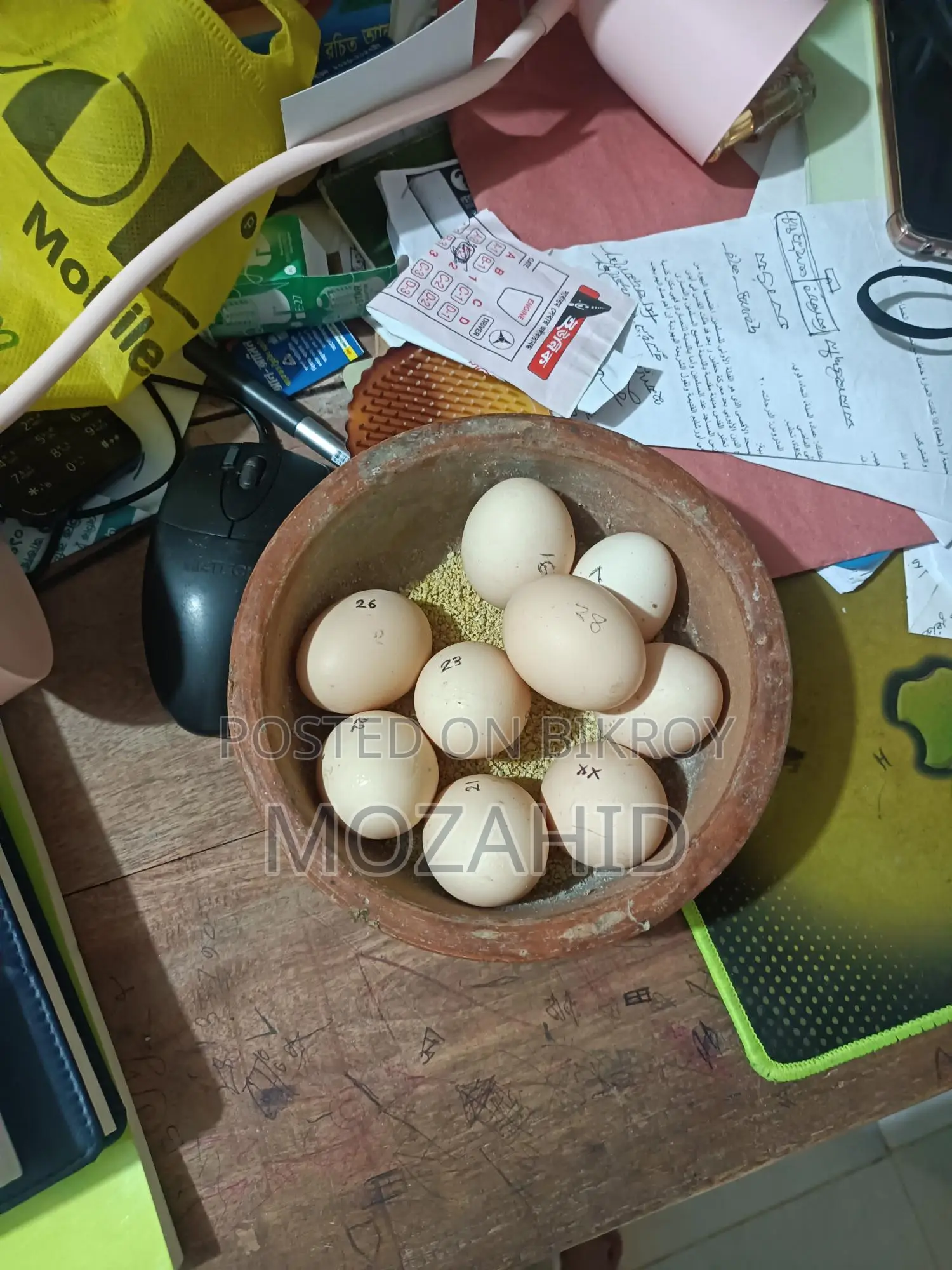 Original Colombian Light Brahma Hatching Eggs