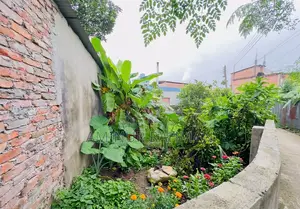 Plot for Urgent Sale - Ready for Construction