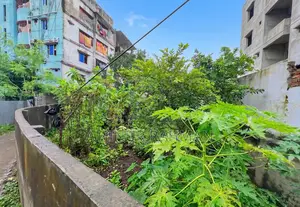 Plot for Urgent Sale - Ready for Construction