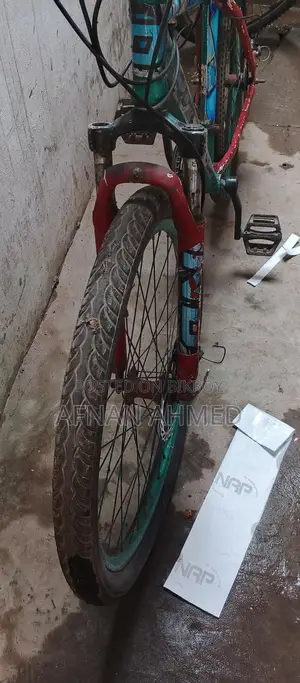 Non-Gear Bicycle