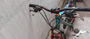 Non-Gear Bicycle