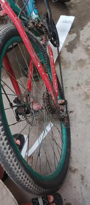 Non-Gear Bicycle