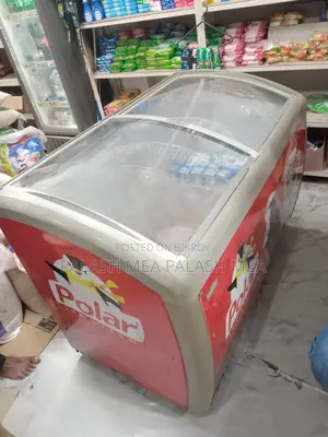Ice Cream Fridge