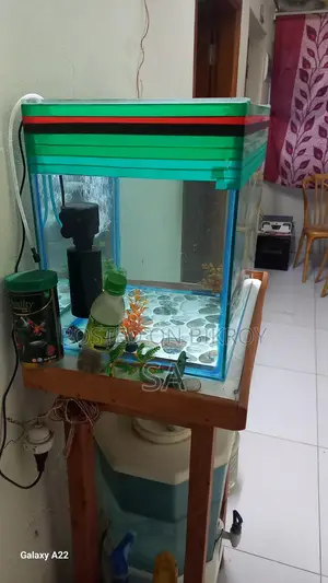 Aquarium Sale