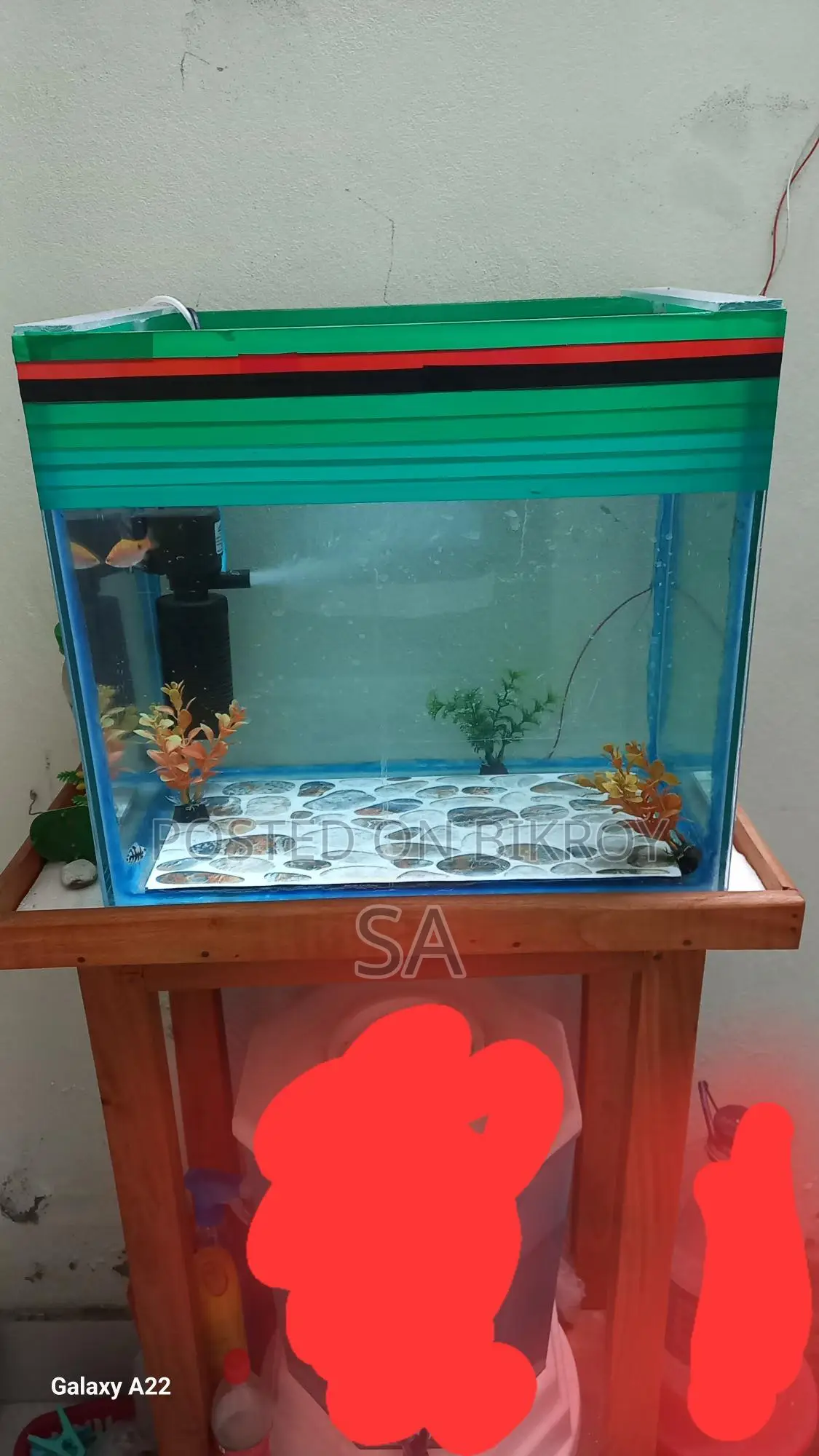 Aquarium Sale