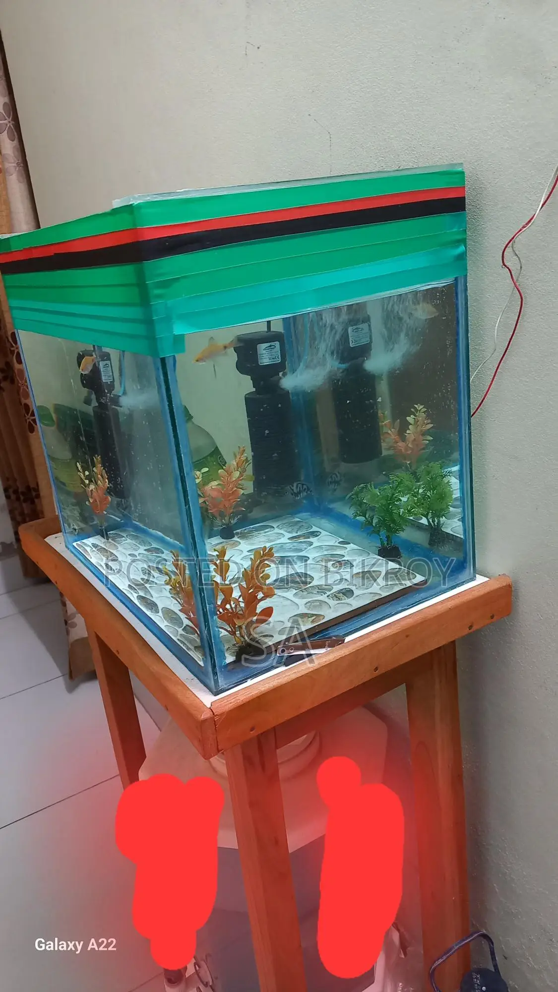 Aquarium Sale