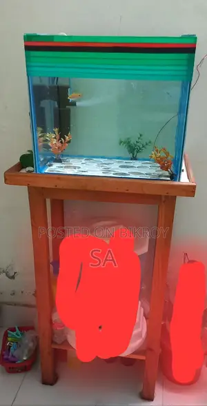 Aquarium Sale