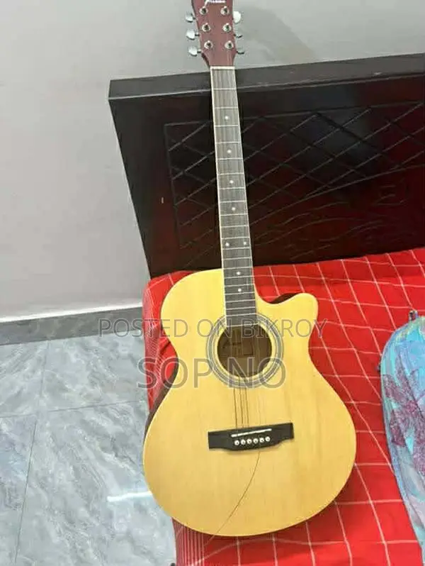 Albino-1 Acoustic
