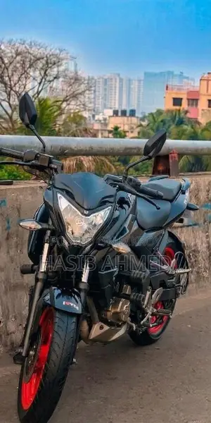 Bajaj Pulsar NS 160 2019 Gray