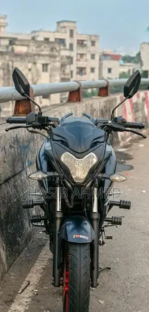 Bajaj Pulsar NS 160 2019 Gray