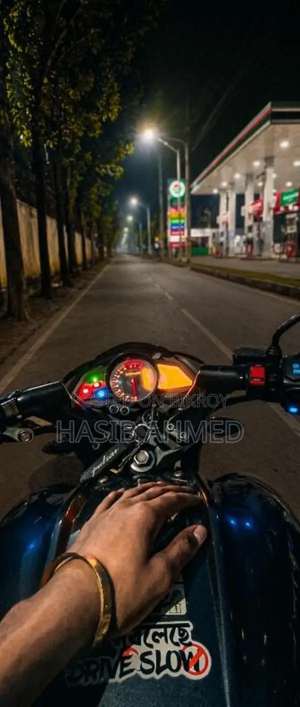 Bajaj Pulsar NS 160 2019 Gray