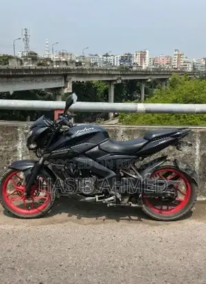 Bajaj Pulsar NS 160 2019 Gray