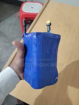 Enjoy Long-Lasting and Powerful Lithium Phosphate (LiFePO4) Battery
