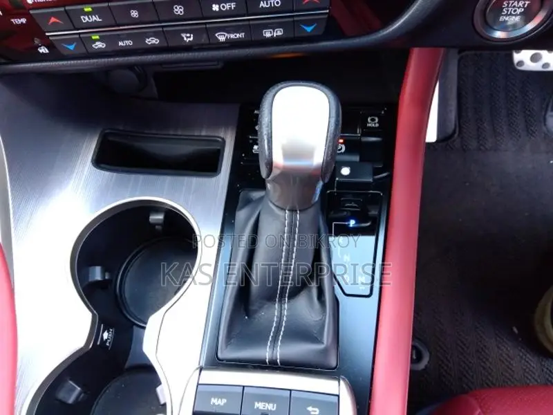 Lexus RX 2020 Pearl