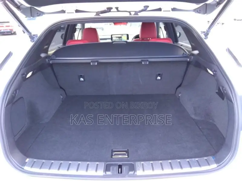 Lexus RX 2020 Pearl