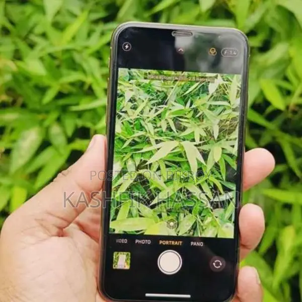Apple iPhone XS (Used)