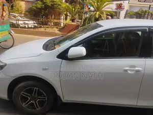 Toyota Axio 2010