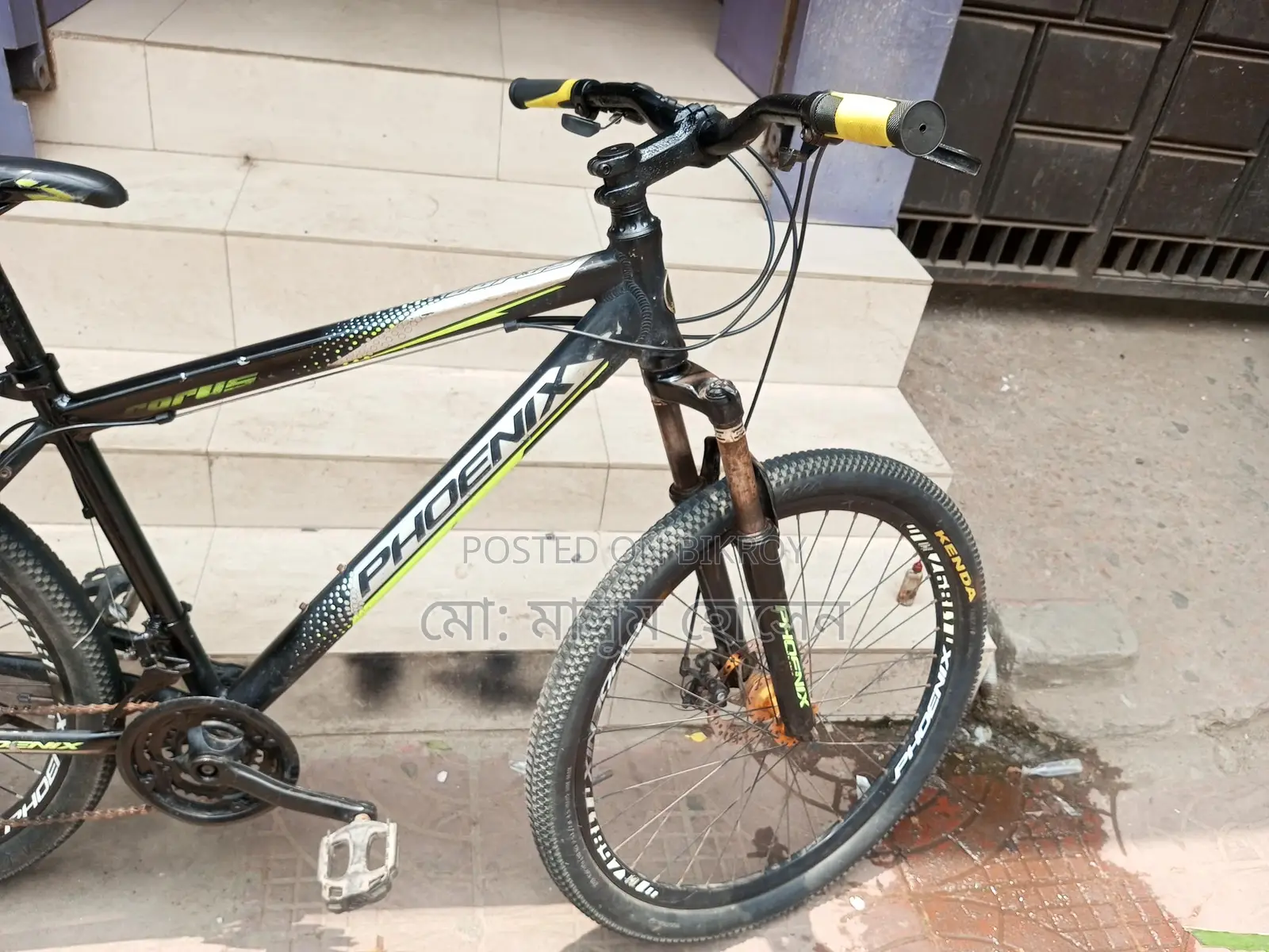 Phoenix cycle