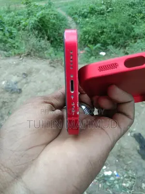 Apple iPhone 13 (Used)