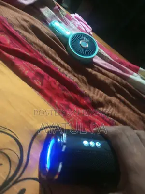 Speaker in Perfect Condition