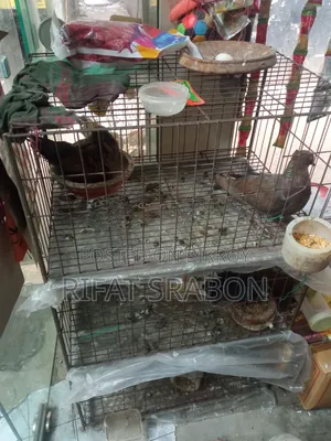 ৩ তলা খাঁচা