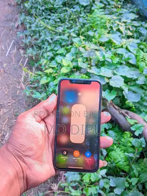 Apple iPhone XS 256 (Used)