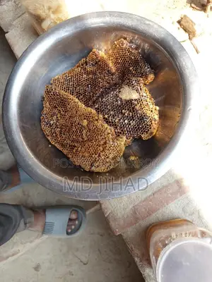 গ্রামের প্রাকৃতিক চাকের মধু