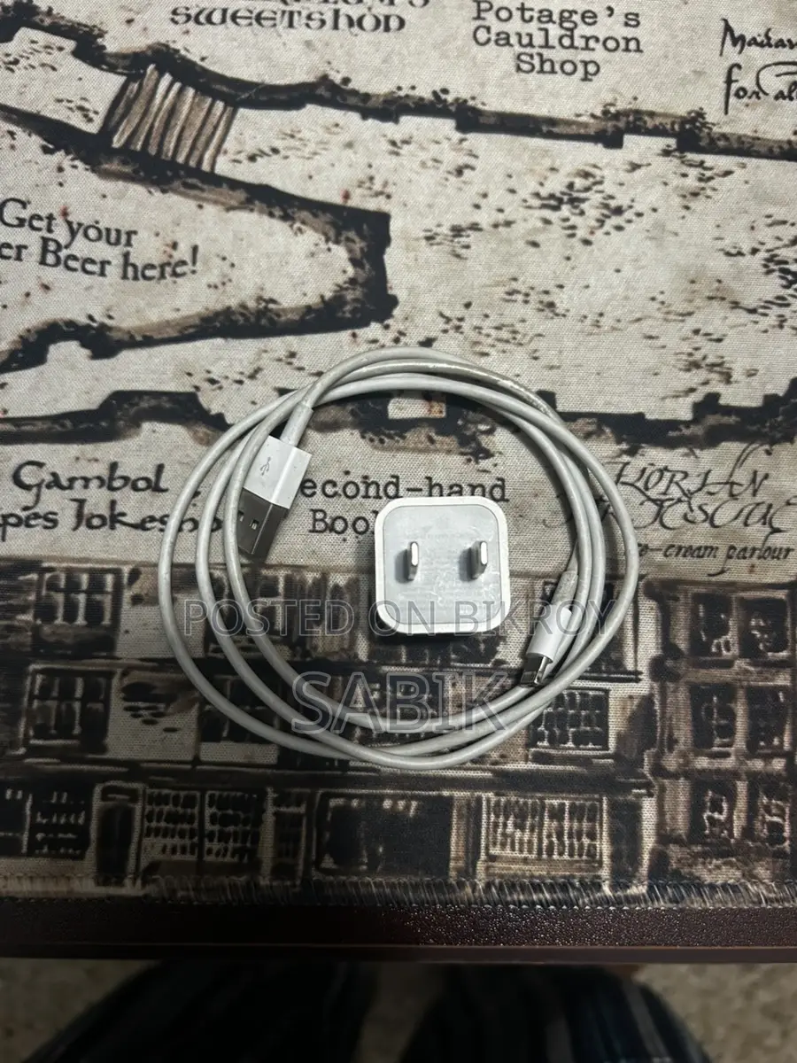 iPhone 5w Charger With Cable