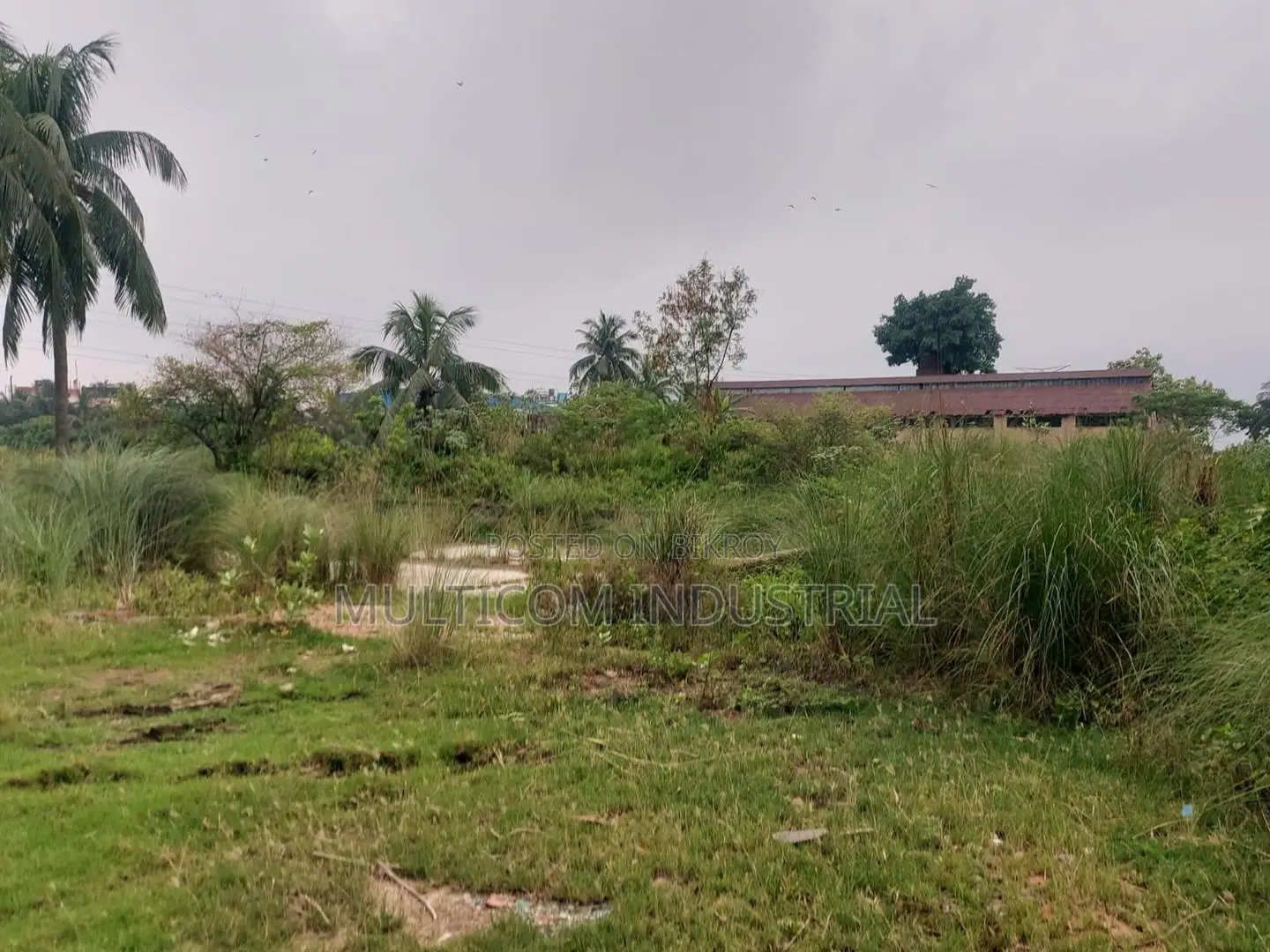 2,20,000 sqft. open space for rent at Barpa, Naraynganj