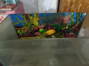 ৯/১৮ ফিশ ট্যাংক