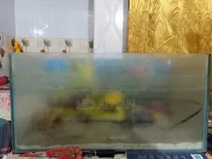 ৯/১৮ ফিশ ট্যাংক