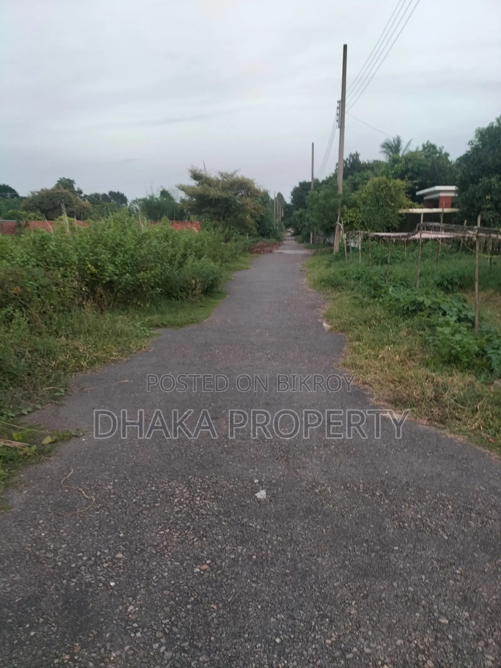 3 Katha South-Facing Plot Near Lake at Sector-25