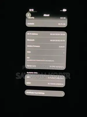 Apple iPhone 13 (Used)