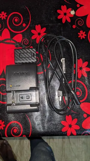 Sony A6000,6100,6300,6400 Battery & Charger Captor
